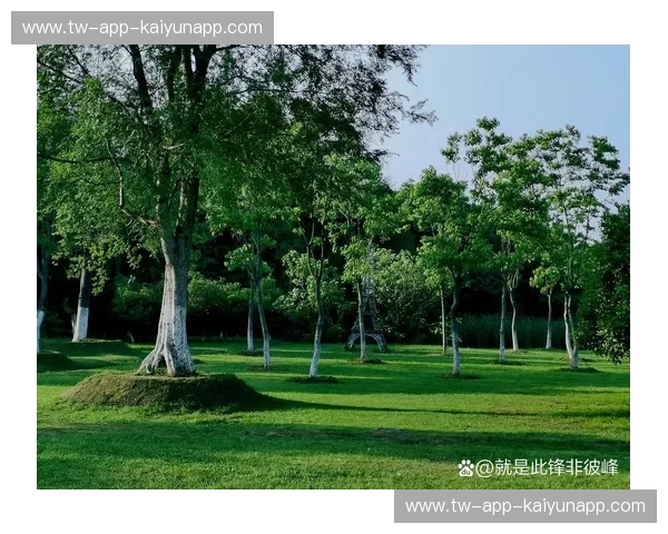 草地赛季微博热议：绿意盎然中的赛场新风尚